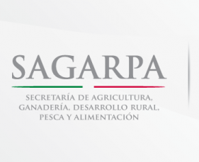 FB_COVER_SAGARPA2-642x2361
