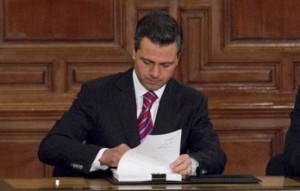 Nueva-Ley-de-Amparo-642x222