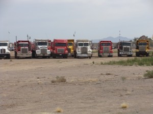 anaconda y los parados
