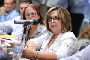 Comision de Vigilancia ISAF