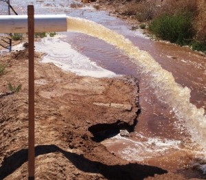 nuevo pozos (1)