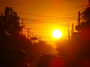 DSC03088