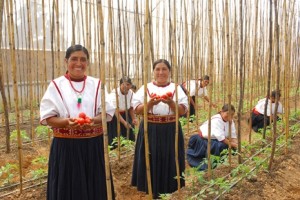 mujeres_012