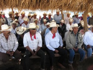 yaquissonora
