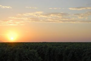 ocaso_DSC_1655
