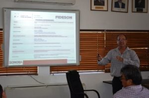 fideson-2