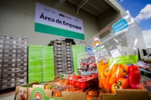 balanza_comercial_3