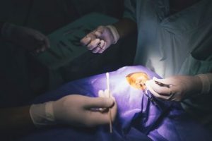 11-03-2016surgery
